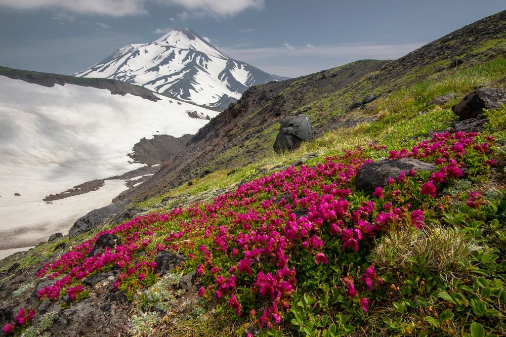 large_Алексей Перелыгин.jpg