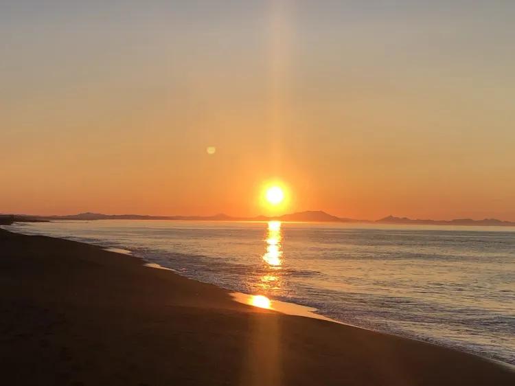 medium_i (12).webp